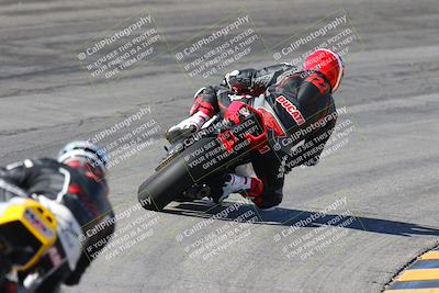 media/Feb-04-2024-SoCal Trackdays (Sun) [[91d6515b1d]]/4-Bowl Backside (11am)/